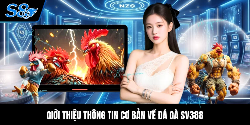 Giới thiệu thông tin cơ bản về đá gà SV388