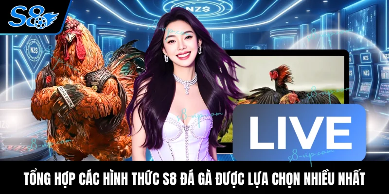 Tổng hợp các hình thức S8 đá gà được lựa chọn nhiều nhất